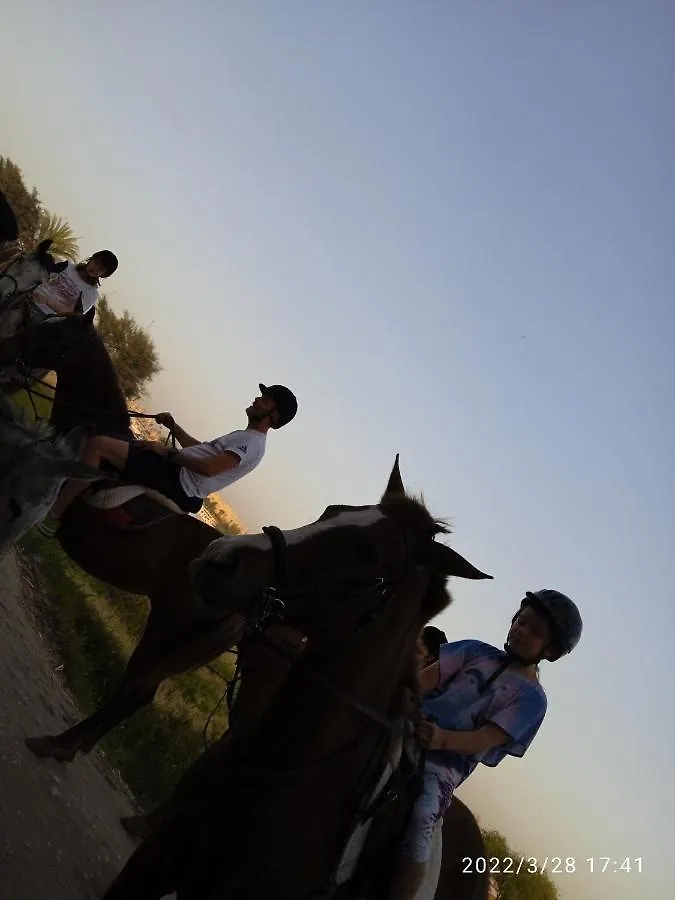 Al Salam Camp Hotel Luxor Campsite