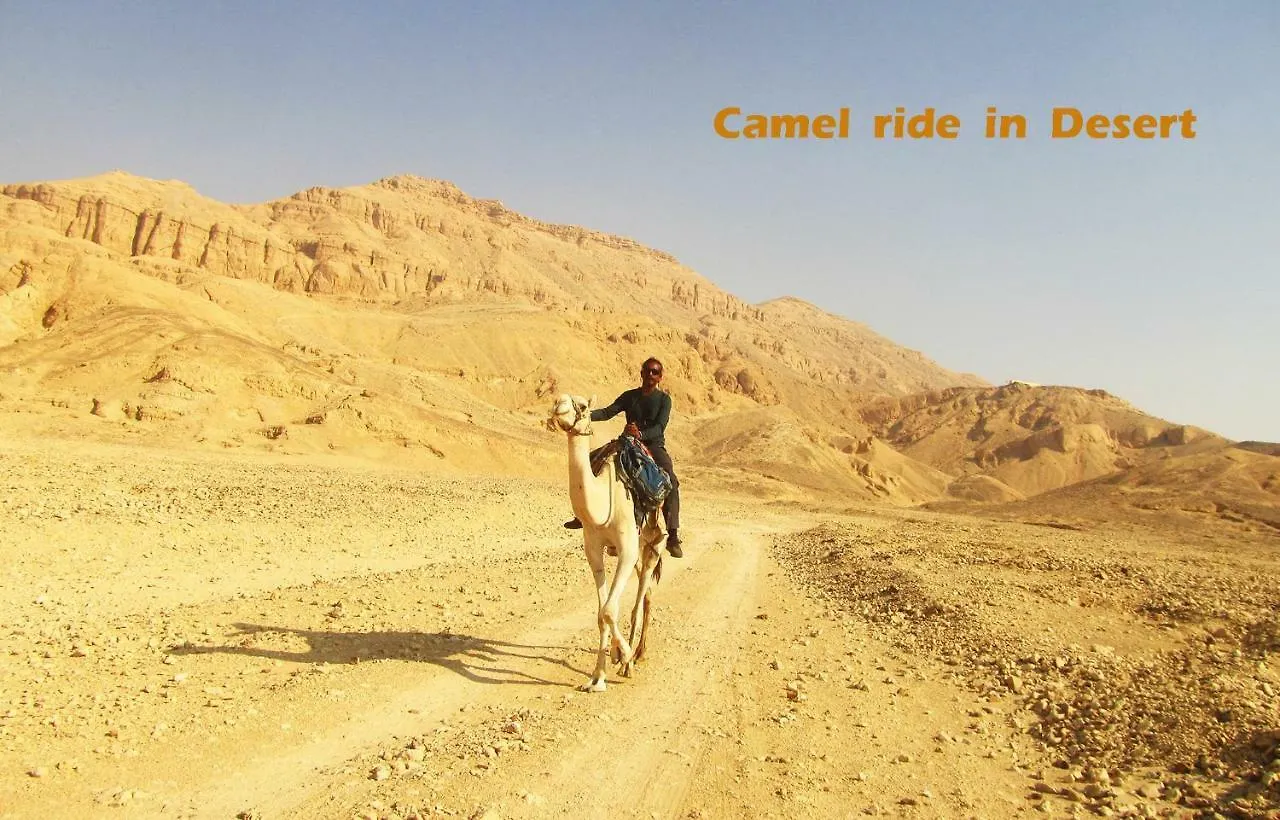 Campsite Al Salam Camp Hotel Luxor